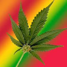 THC